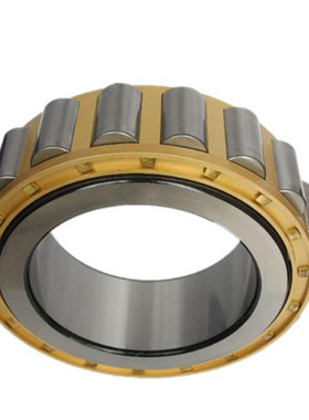 圆柱滚子轴承RN2306 RN2308  2310 2312 2313 2315 2316 N2318 EM