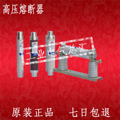 油浸式变压器保护器保护用高压限流熔断器XRNT5-15.5KV