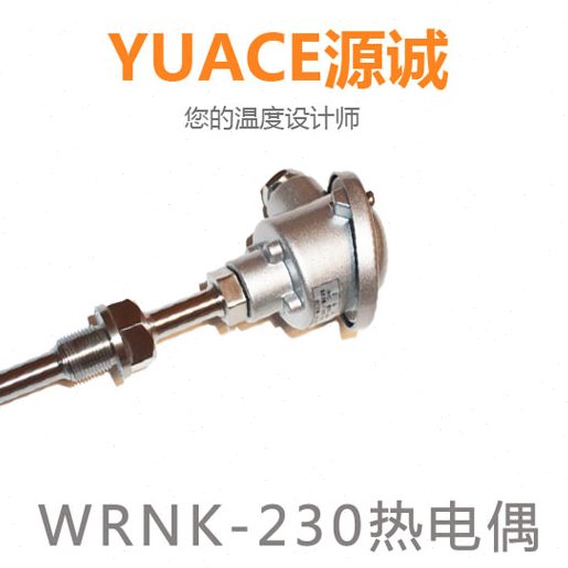 工业耐高温铠装热电偶k型探头pt100热电阻温度传感器wrnk-230