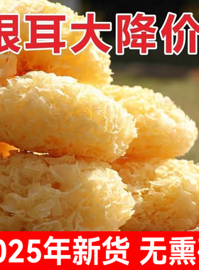 无干燥剂 古田银耳干货 新鲜新货无熏硫大花银耳莲子羹煲汤凉拌菜