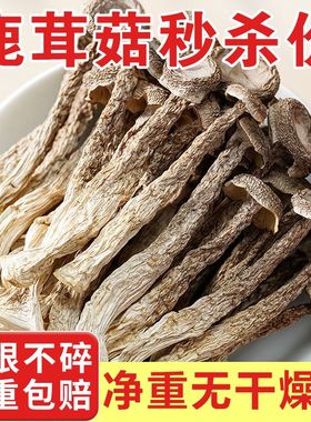 【净重无干燥剂】鹿茸菌新货碎块鹿茸菇干货无熏硫新鲜鹿茸菇批发