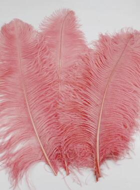 鸵鸟毛大优质6-65cm白色杆婚庆舞台BEF装饰0桌面摆件鸵鸟羽粗毛