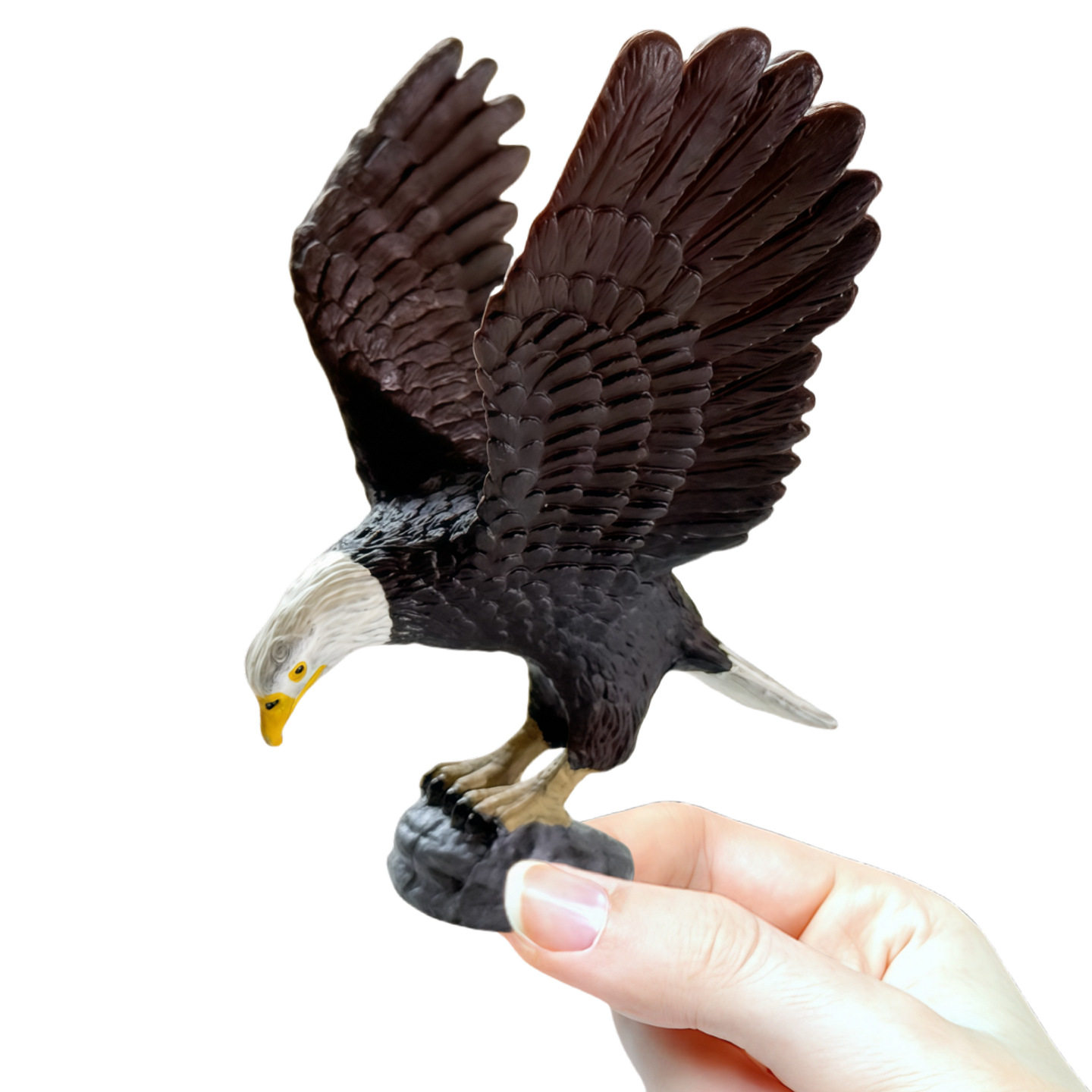 仿真老鹰石头底座白头海雕小号猛禽装饰儿童玩具鸟类动物模型摆件