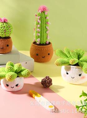 跨境新款大号多肉仙人掌DIY编织材料包手工课DIY编织钩针配件套装