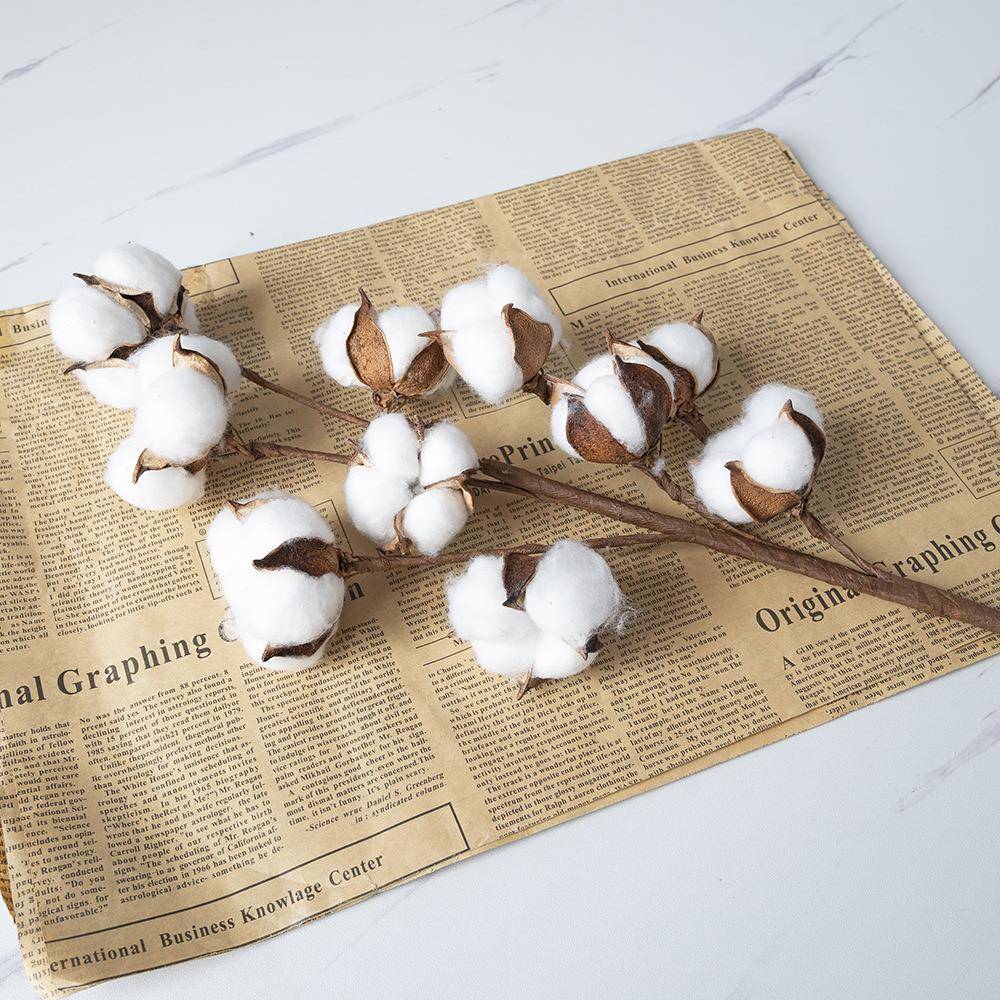 家居棉花10头棉花干花仿真自然干花长树枝客厅婚礼装饰品跨境采购