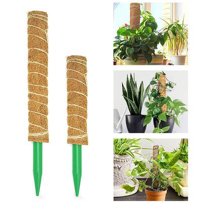 亚马逊PVC底部植物椰棕棒绿萝植物支撑柱爬藤杆园艺苔藓杆