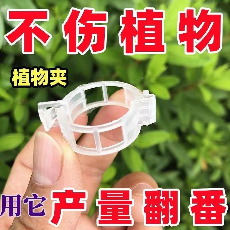 藤蔓夹植物固定支架夹子扶绿植卡扣绑蔓夹秧苗固定器扶蔓夹瓜果夹