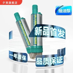 12V电动抽油泵24V柴油抽油神器220V家用抽水泵小型抽酒泵 38型新款