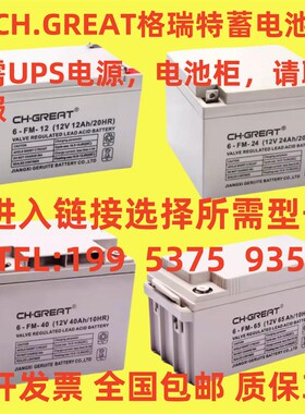 CH.GREAT/格瑞特蓄电池6-FM/GFM12V18AH20AH24AH38AH40AH65AH消防