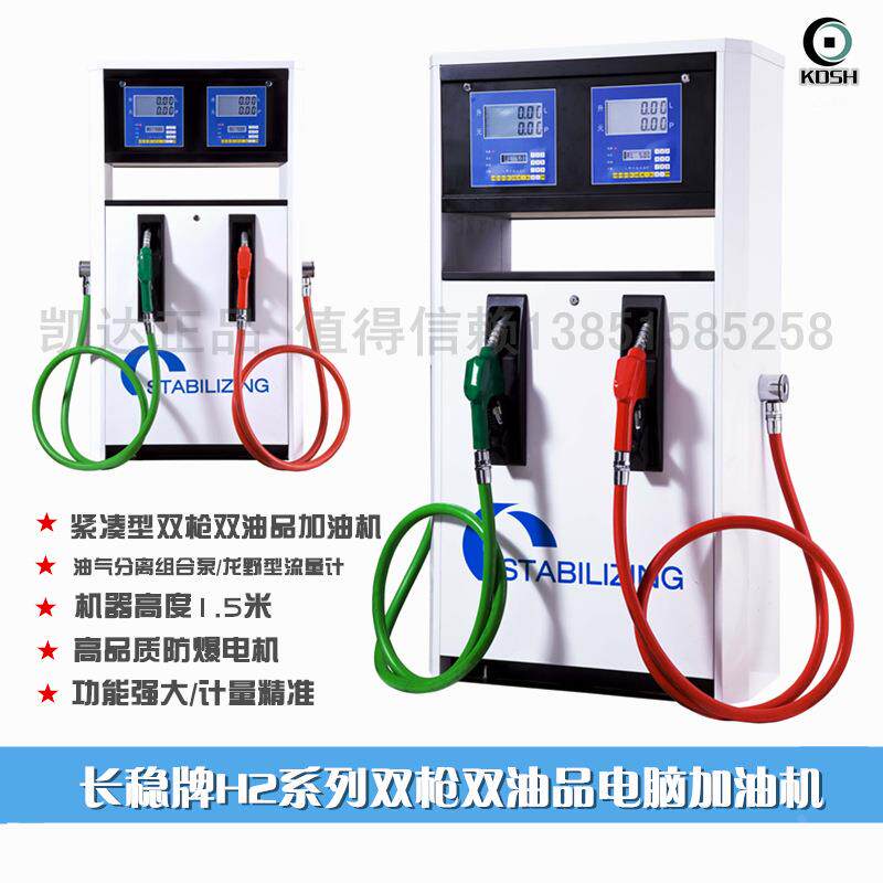 长稳牌H2系列220V380V防爆电脑加油机小型双枪双油品大流量加油机