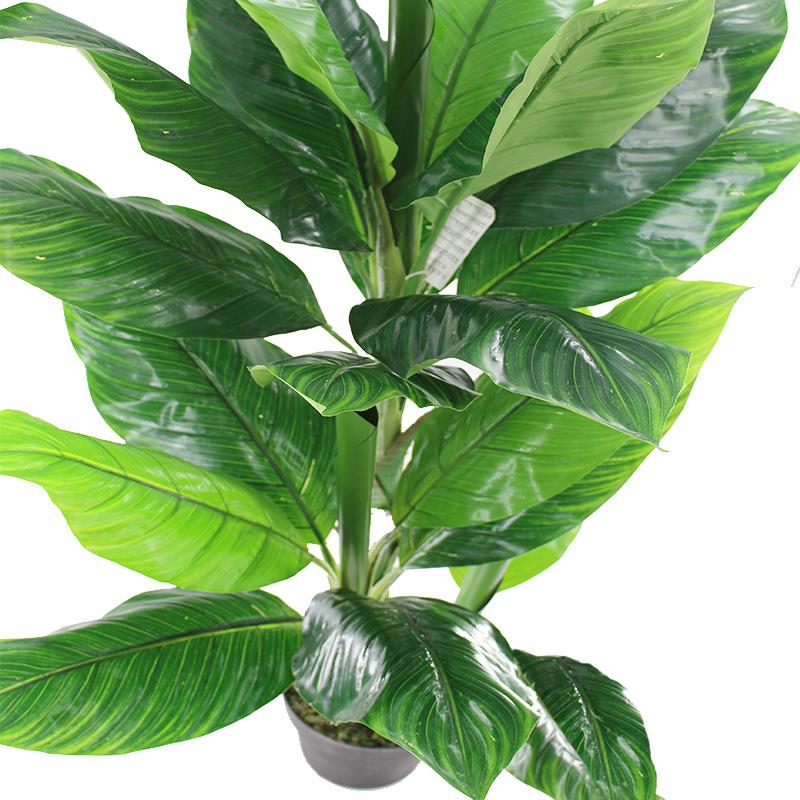 仿真植物盆栽美人焦叶热带芭蕉植物树叶室内旅人蕉叶葵叶装饰