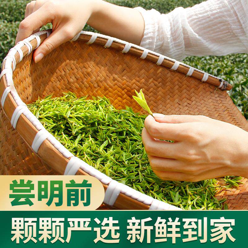 忆江南茶叶2025年新茶明前龙井豆香自饮杭州特产口粮绿茶罐装正品