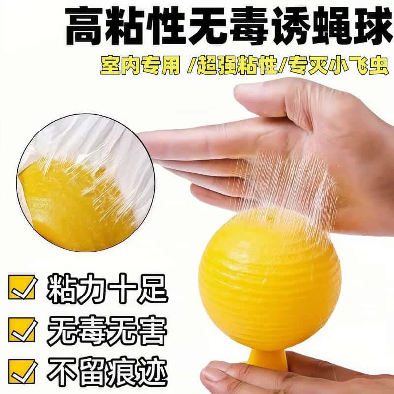 果蝇诱捕器粘杀小飞虫神器