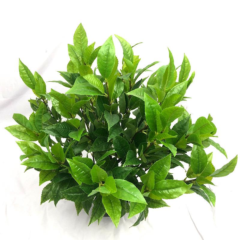 仿真植物大白茶叶常青假树叶落地盆栽盆景工程拍摄DIY装饰