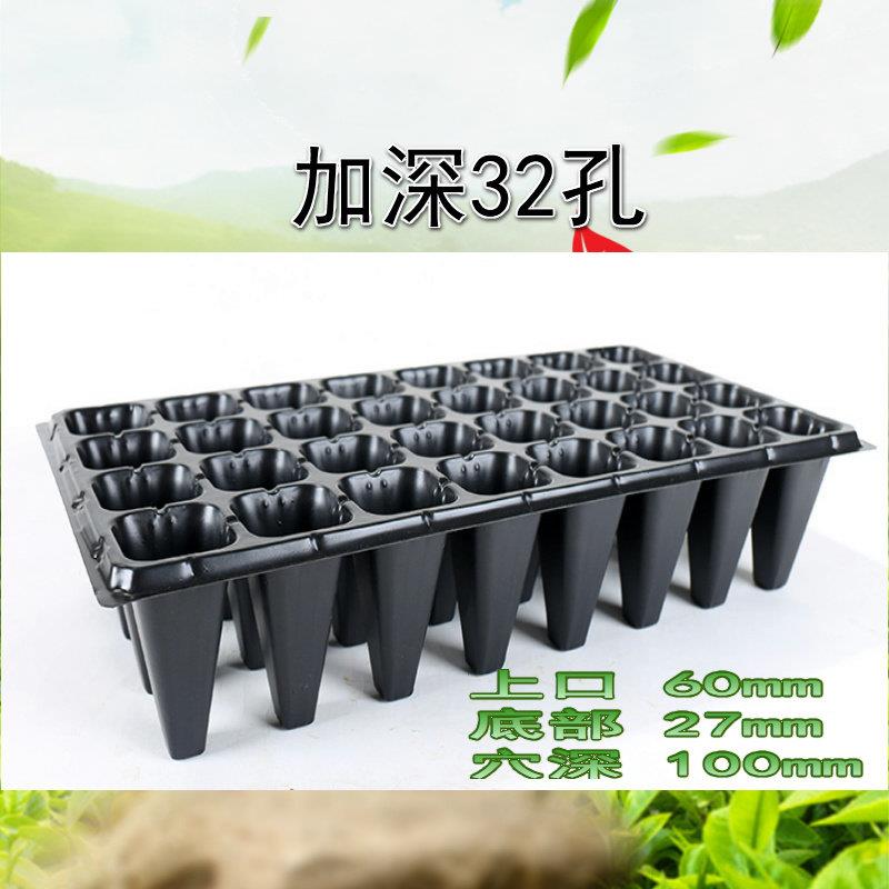 加深盘育BKN苗盘盘托辣椒西林瓜玉米蔬穴菜水果木草莓深口营养钵