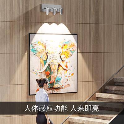 入门口FYO动人体自感应灯人户来即亮楼灯道走廊过道楼梯感应玄关