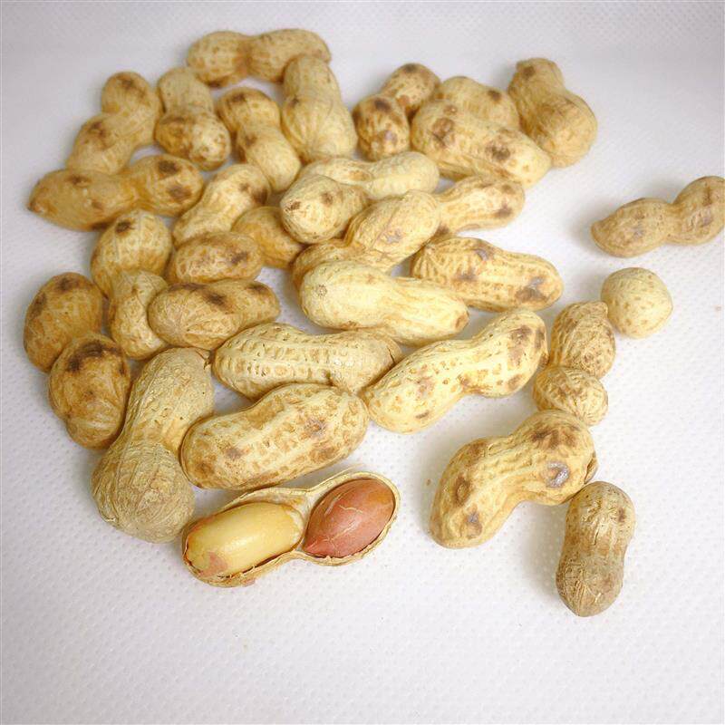 四川特产白味油米子五香花生小珍珠带壳炒货结婚生宴休闲零食小吃