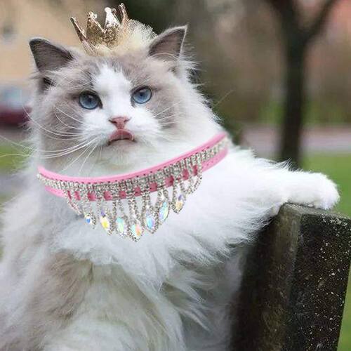 好货SUPREPET Tassel Diamond Cat Necklace PU Leather Adjustab