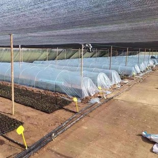 小拱棚支架温室大棚暖棚蔬菜保温棚支架玻璃纤维杆弹力棒拱杆支撑