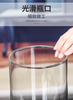 极速玻璃花瓶透明插花水培马醉木水培富贵竹直筒客厅摆件ins风高