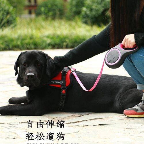 好货Long Strong Pet Leash For Large Dogs Durable Nylon Retra