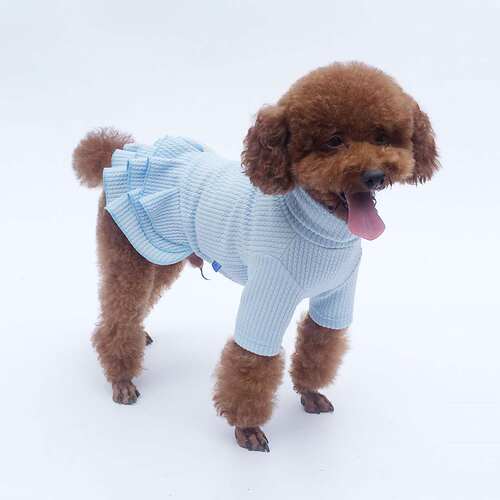 好货New dog clothes autumn and winter three-layer bubble ski