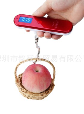 好货WH-A19钢琴喷漆电子行李秤 便携行李手提秤 箱包称旅行秤50kg