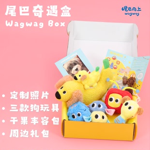 尾巴向上88元 狗狗玩具礼盒丰容嗅闻宠物玩具生日礼物尾巴奇遇盒