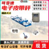 矿山施工专用皮带秤 防爆设计测量精度高ICS ST矿用电子皮带称