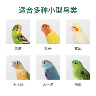 牡丹玄风虎皮鹦鹉繁殖箱新型鸟窝保暖孵化箱小鸟巢箱鸟笼配件用品