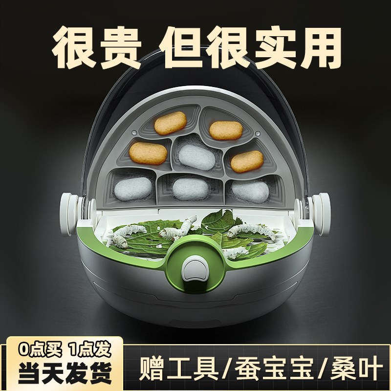 蚕宝宝活体蚕卵学生科学套装养殖仓房子别墅幼虫活物新鲜桑叶工具