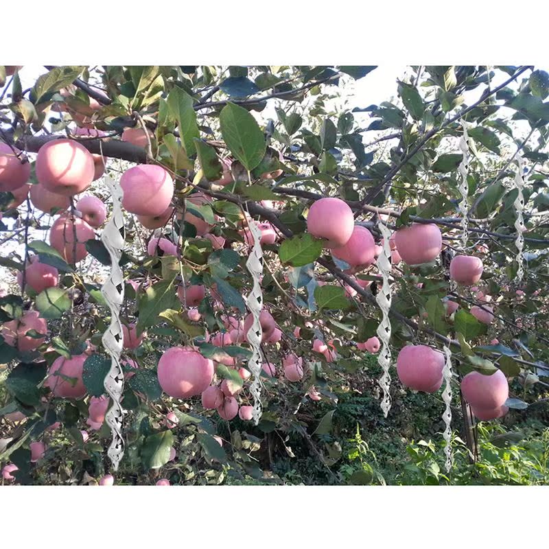 Rotating Bird Repellent Sticks Garden Yard Field Hanging Pro