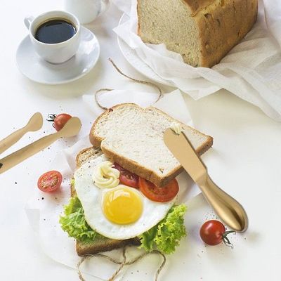 Stainless Steel Cheese Knives Set 20 Pcs Charcuterie