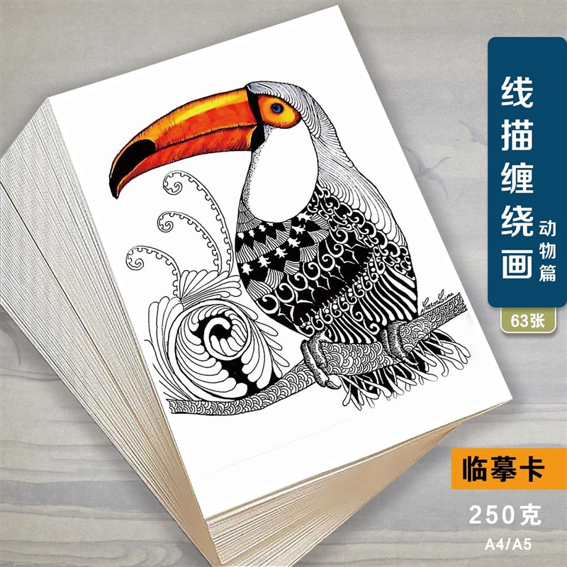 美术动物线描线条临摹卡少儿创意彩色黑白线描装饰画艺术培训范画图片