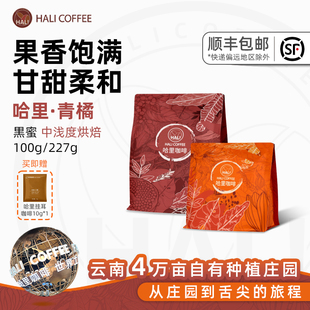 HALICOFFEE哥斯达黎加黑蜜青橘庄园 SOE咖啡豆中浅烘焙100g/227g