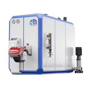 低氮燃气蒸汽发生器全预混商用免报检锅炉江苏工业蒸气发生器