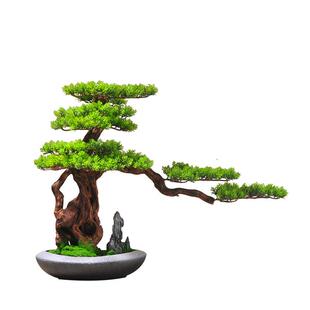 迎M00165客件松仿真树景办公罗室绿植摆新中式客厅玄关装盆饰品酒