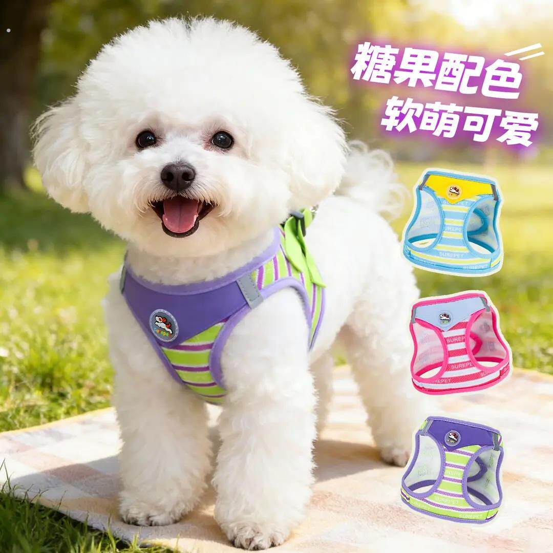珞晞新款猫狗背心式反光透气小方巾三件套胸背带防挣脱遛狗牵引绳