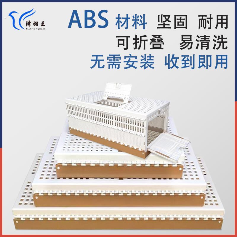 鸽子训放笼 塑料运输鸽子笼信鸽赛鸽放飞笼通道笼报道笼鸽笼可携