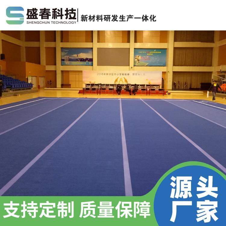 啦啦操训练比赛垫子健美操垫子16*16场馆垫子