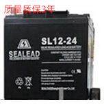 西力达SL12-24直流屏照明应急灯SEALEAD蓄电池12v24ah电瓶