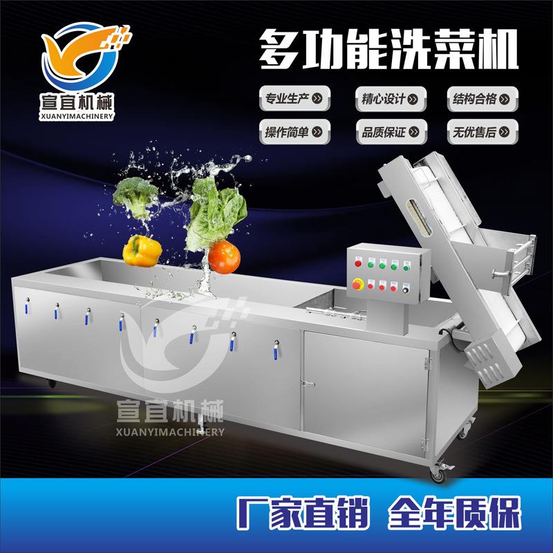 蓝莓清洗机气泡冲浪喷淋洗果设备蜜饯干果加工清洗生产流水线