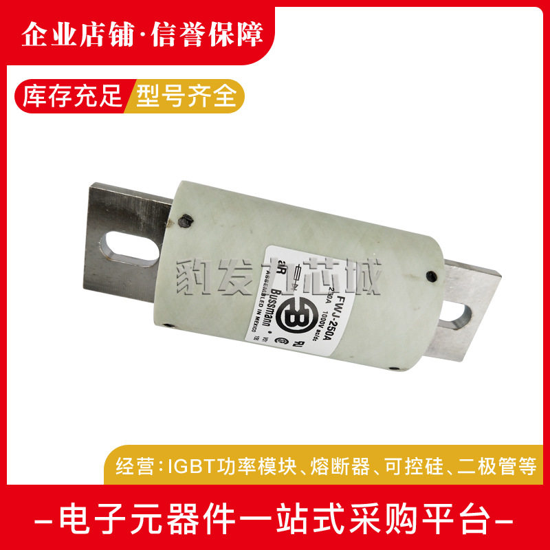 FWJ-300AFWJ-350AFWJ-400AFWJ-500AFWJ-600A快速熔断器保险丝