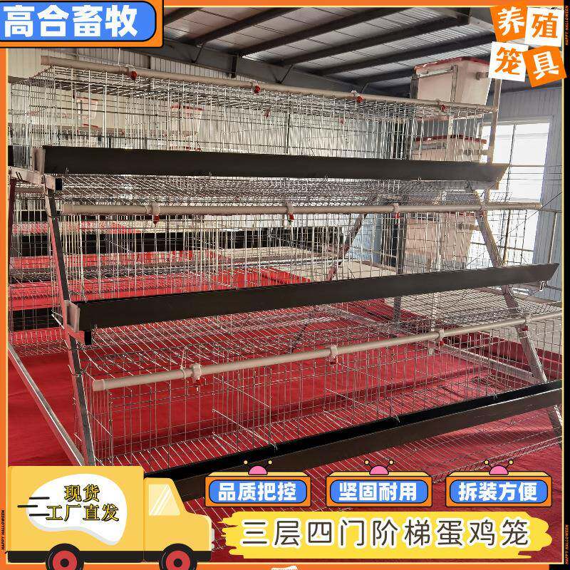 镀锌鸡笼三层四门阶梯蛋鸡笼肉鸡笼绿石槽工厂现货可外贸
