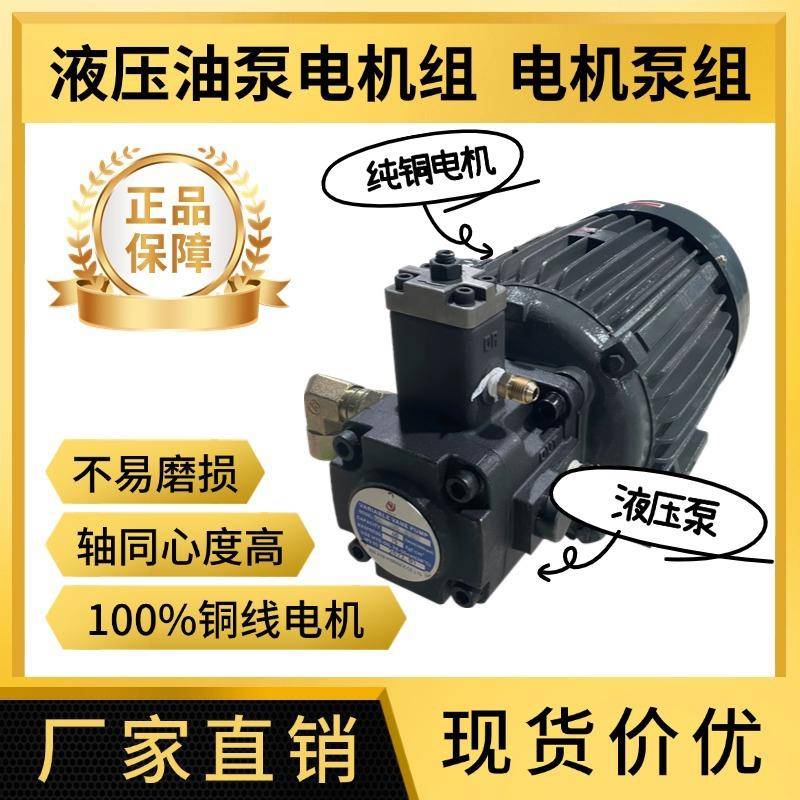 液压油泵电机组VP20+0.75KW总成内轴电机液压站配件系统液压油泵