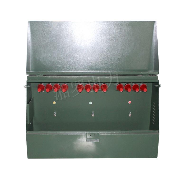 10KV高压电缆分支箱美式一进二出DFW-12/200A不锈钢壳体带避雷器
