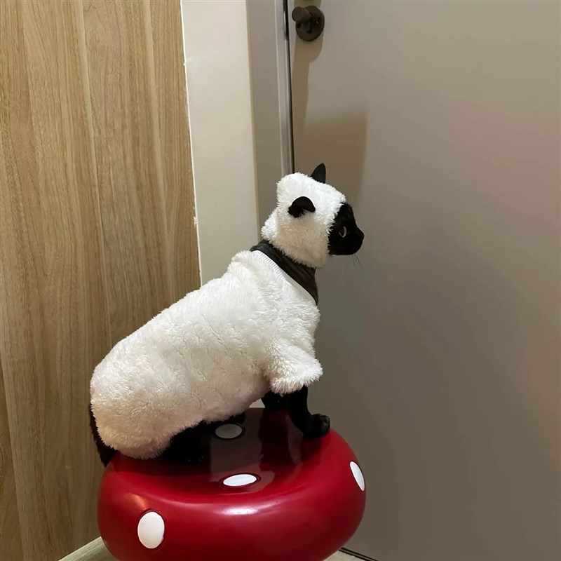 速发秋冬新款脚毛猫衣服四绒保暖小羊肖恩加无服德文衣服