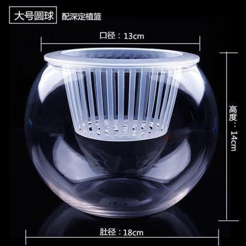 速发璃培植物专瓶瓶玻璃花瓶玻水用绿萝花瓶绿植圆球水养鱼缸器皿