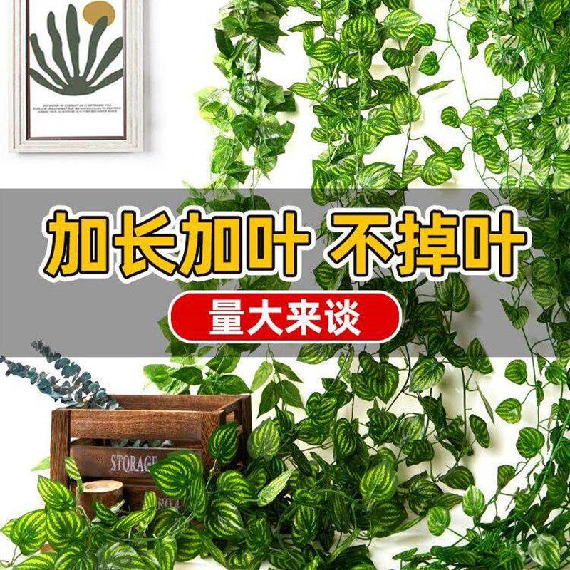 速发墙面挂饰仿真绿植物藤条绿叶吊顶装饰假花藤蔓台遮丑塑料葡萄