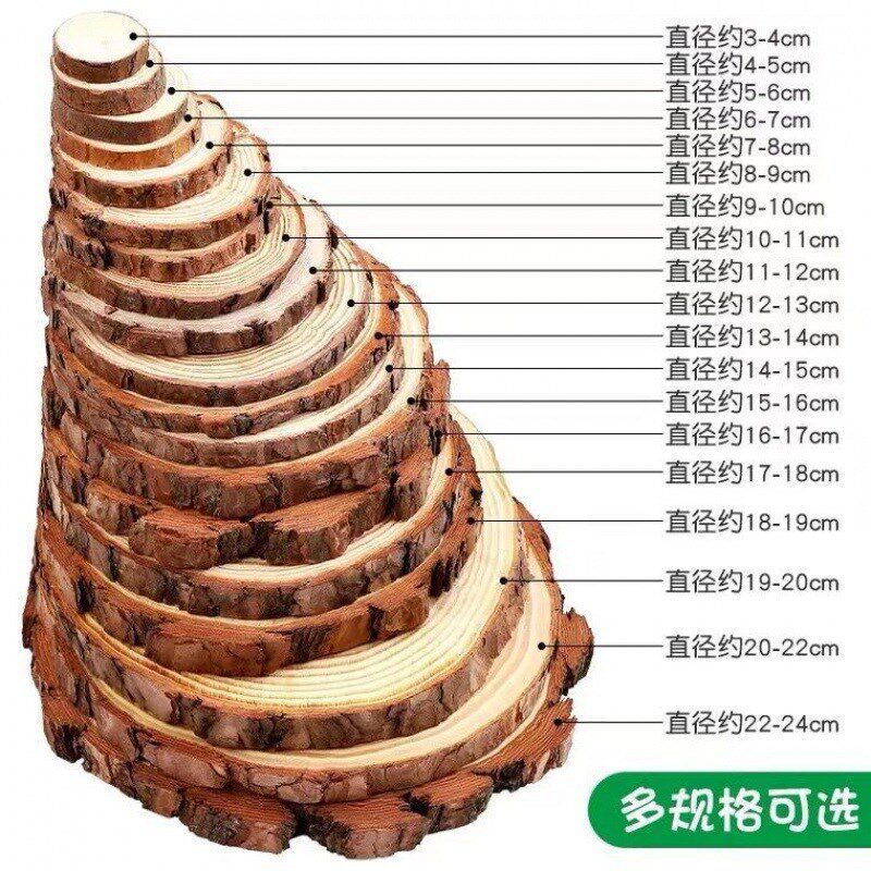 速发木头片圆木轮手绘材童原木背景墙装料幼儿园儿饰绘画松木
